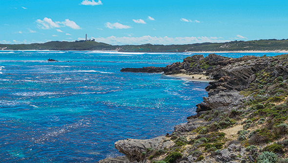 Auch auf dem malerischen Rottnest Island finden sich bis heute keine Hinweise auf die koloniale Vergangenheit Australiens. (Foto: flickr / Sam West)